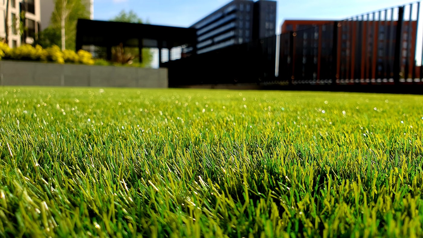 Lawn and timber fence