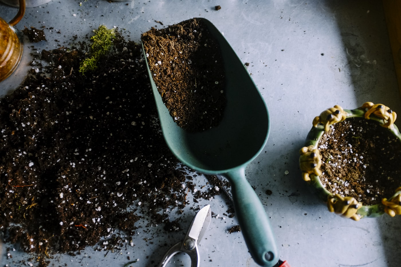 Planting and garden maintenance work